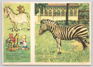 Postal Cebra Dibujos Animados Gato y Niño Unión Soviética Rusia URSS - B Stepantsev - Imagen 1 de 3