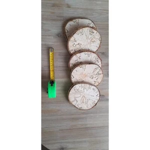 5 x Hochzeits-Stammscheiben 14-15 cm perfekt für Mittelstücke, Blumen, Kerzen, Hochzeit - Bild 1 von 2
