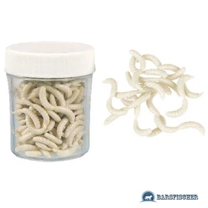 KÜNSTLICHE MADEN MIT AROMA, GUMMIMADEN NATUR-WEISS, MAGGOT KUNSTKÖDER MAGGOTS BF - Bild 1 von 1