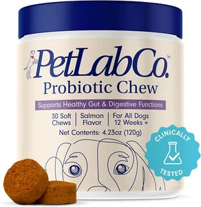 Probiotics for Dogs, Support Gut Health, Occasional Diarrhea, Digestive Health & - Picture 1 of 12