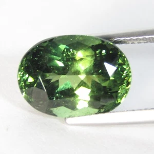 10.27Cts Genuine Natural Unheated Green Apatite 15x11x8.9mm Oval Loose Gemstone - Picture 1 of 3