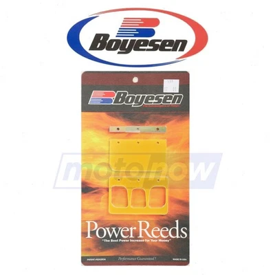 Boyesen Power Reeds for 1998 Ski-Doo Formula III 600 LT - Fuel & Air Reeds & xm - Imagem 1 de 4