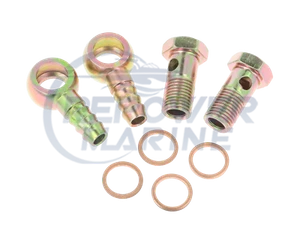 Banjo Bolt 10mm Hose Tail for Delphi CAV Filter Assemblies - Picture 1 of 1