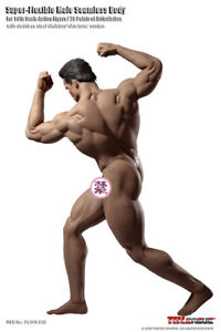 TBLeague PL2018-M35 1/6 Super Strong Male Muscular Seamless Body Model