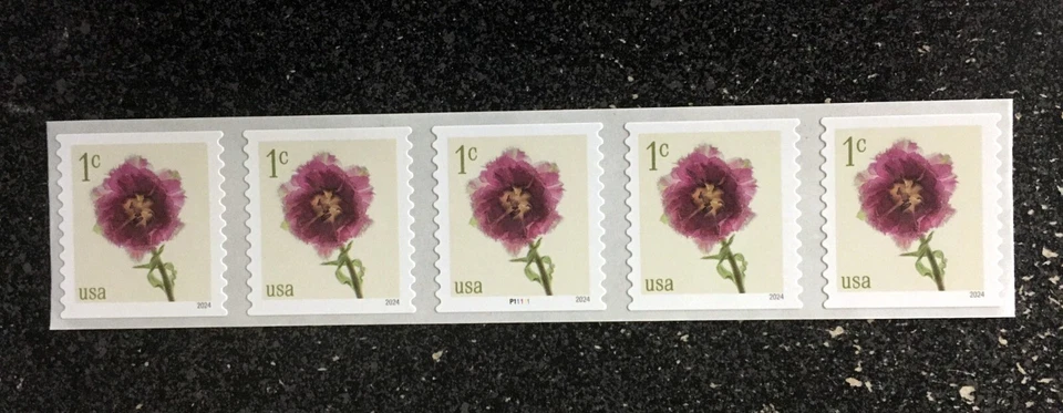 2024USA #5902 1c Fringed Tulips - Plate Number Coil Strip of 5 PNC Mint flowers - Image 1 of 2