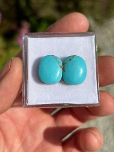Sleeping Beauty Turquoise blue matching pair loose Cabochon Gemstone 16x13mm 512 - Picture 1 of 2