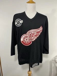 CCM Detroit Red Wings Center Ice Brett Hull #17 Size M NHL Stitched Jersey Black - Picture 1 of 14