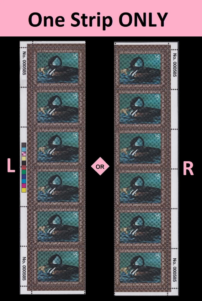 US JDS31 Junior Duck Hooded Merganser $5 plate strip 6 MNH 2023-2024 - Image 1 of 1