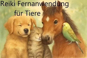 REIKI FÜR TIERE  FERNBEHANDLUNG Schmerzen  Hunde Katzen Pferde Vögel BERUHIGUNG - Bild 1 von 1