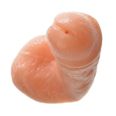 6" Lifelike Realistic Ejaculating Squirting G-spot Dildo Cum Cock with Balls - Image 1 of 4