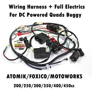 Complete Wiring Harness Loom 200/250/300cc 350cc 400cc 450cc ATV Quad Bike Buggy - Picture 1 of 9