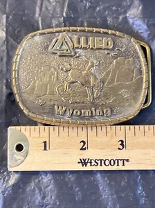 Cinturón de latón liso vintage BTS Allied Wyoming hebilla caballo espalda montar a caballo hecho en EE. UU. - Imagen 1 de 8