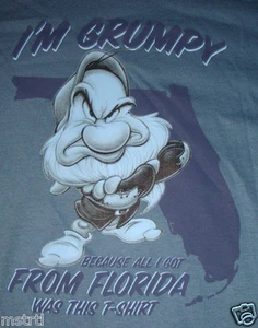 DISNEY SNOW WHITE DWARF GRUMPY FLORIDA T SHIRT  SZ M GUC  - Picture 1 of 6