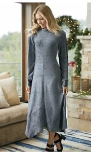 NEW! Soft Surroundings Salvaza Velvet Winter Dress Silver Grey - Women's Size S - Picture 1 of 10