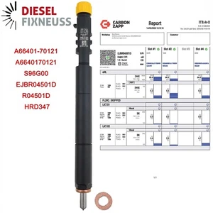 EJBR04501D Delphi Injektor Ssang Yong Actyon 2.0 Xdi A6640170121 - Bild 1 von 15