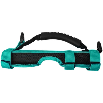 Correa de transporte plegable para cuadro de bicicleta con correa de hombro ajustable para Brompton Foto 1 de 4