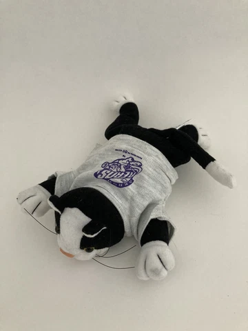 Akron Aeros Bean Bag Plush Stuffed Animal Cat Cover