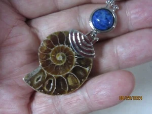 Ammonit Lapislazuli Edelstahl Anhänger 17,5" Halskette & Beutel ALLSPN-15 - Bild 1 von 9