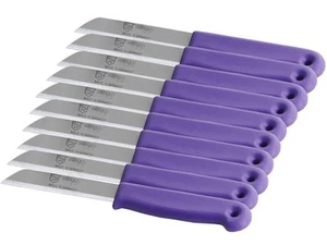 Obstmesser aus Solingen Schälmesser Küchenmesser 10er Set Lila Made in German... - Bild 1 von 9