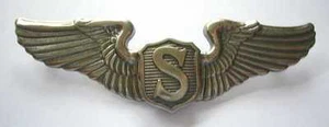 WWII - SERVICE PILOT Wings - Imagen 1 de 1