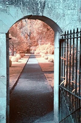 SONY a5100 FULL SPECTRUM/IR CONVERTED CAMERA BODY BLACK LOW SHUTTER COUNT 3265A - Bild 1 von 4