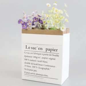 100x Kraft Paper Florist Flower Gift Bags without Handle Take Out Potatos Bag - Picture 1 of 7