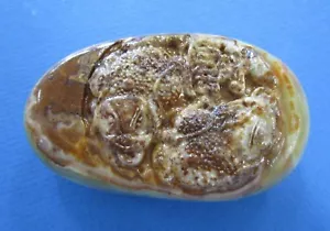 Chinese hand Carved Lucky Frogs with Coin, from Banded AGATE - Picture 1 of 12