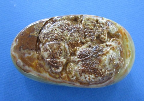 Foto 1 di 12