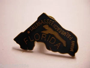 Florida Hut Anstecknadel HP2376 - Bild 1 von 1