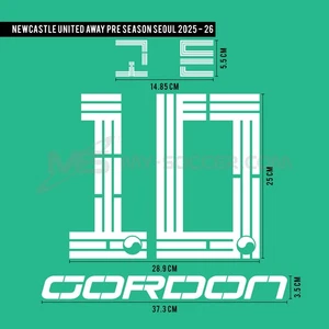 GORDON #10 Newcastle United FC Away Pre Season Korean Tour 2025 Print - Picture 1 of 5