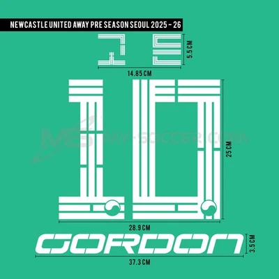 GORDON #10 Newcastle United FC Away Pre Season Korean Tour 2025 Print - Image 1 of 4