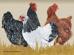 Chicken Mix Cutting Board Tempered Glass, Pet Placemat, 11.5 " x 15.5" - Picture 1 of 1