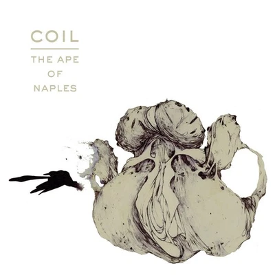 Coil The Ape of Naples (Vinyl) Expanded  12" Album Coloured Vinyl Box Set - Image 1 of 3