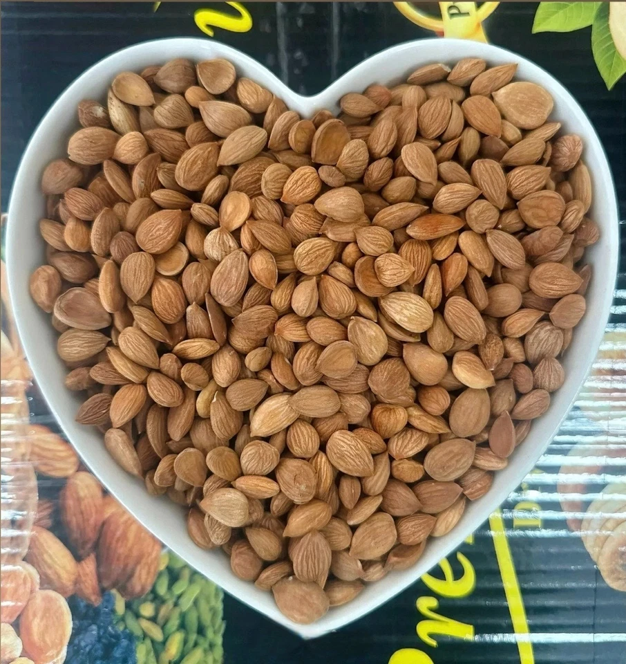 Organic Bitter Apricot Kernels / Premium Quality / 100% Organic / 100g-3kg - Image 1 of 2