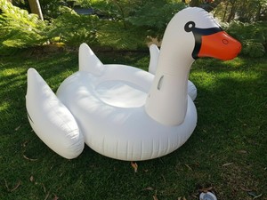 derpy swan float