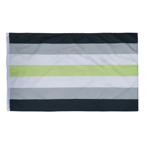 Bandera Arco Iris Orgullo LGBT Negro Verde Gris Rayas LGBTQIA Reino Unido Agenda - Imagen 1 de 3
