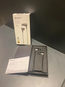SONY IER-NW500N for Walkman Canal Type Earphone Hi-Res Noise Canceling Black - Picture 1 of 6