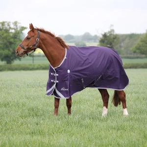 Shires Highlander Original 100g Turnout Rug - Plum - Picture 1 of 6