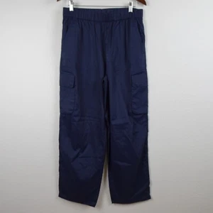 North Face Cargo Pants Women's Size L Blue Spring Peak Relaxed Fit - Picture 1 of 11