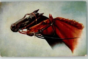 39675334 - Ritratto di cavallo - Foto 1 di 2