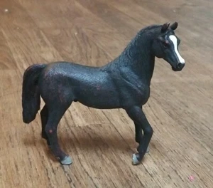 Arabian Black Stallion by Mojo 2013 - Picture 1 of 7