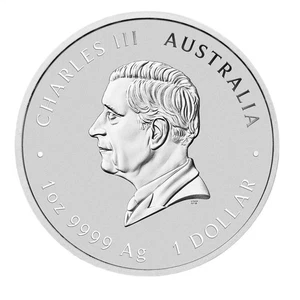 Australia Emu Pattern Silver Coin Collectible Commemorative Coin Table Decor - Picture 1 of 11