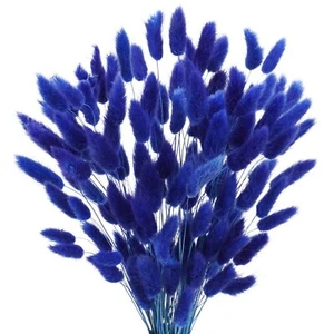 17’’ Natural Bunny Tails Dried Flowers 120 Pcs Dried Lagurus Ovatus Dried Blu... - Picture 1 of 7