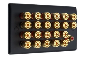 Speaker Wall Face Plate 11.1 Matt Black 22 Gold Binding Posts + 1 RCA Solder - Picture 1 of 8