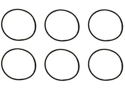 Juego de juntas de colector de admisión inferior para BMW 325i 2006 Felpro 41162ZMBJ 3,0 L 6 cilindros Foto 1 de 2