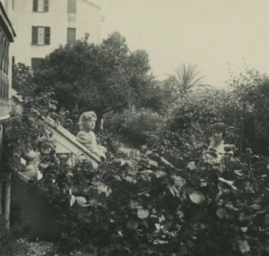 Korsika Ajaccio Hotel des Etrangers Gardens Old Possemiers Stereoview Photo 1920 - Bild 1 von 3