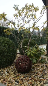 Sfera di vimini palla di vimini sfera decorativa sfera sfera di vite palline decorative giardino sfera decorativa  - Foto 1 di 5