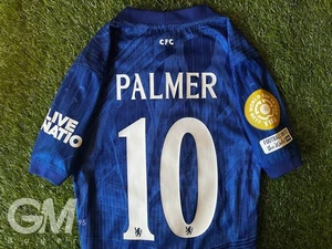 Maillot Nike Dri-Fit ADV Match FC Chelsea Finale FIFA World Cup Palmer M - Photo 1/11