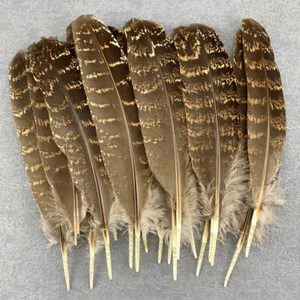 10-100 Pcs Precious Natural Pheasant Feathers 15-20 CM DIY Decoration For Crafts - Picture 1 of 12