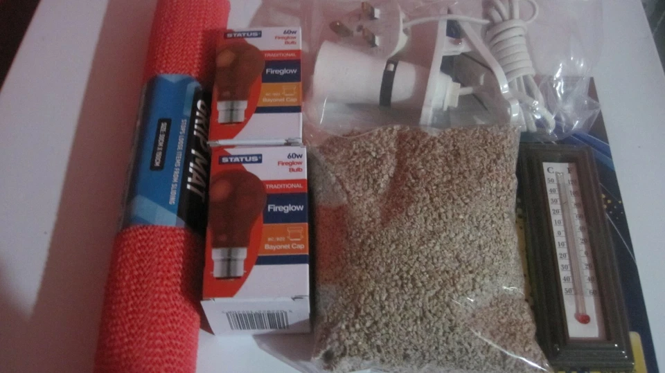 Kit de inicio para cría de pollitos (pollitos, patitos, codornices) lámpara de calor, termómetro Foto 1 de 1